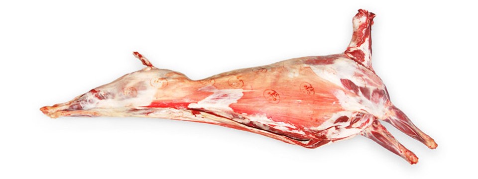 fresbeira_cabra_carcaca