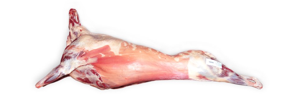 fresbeira_ovelha_carcaca