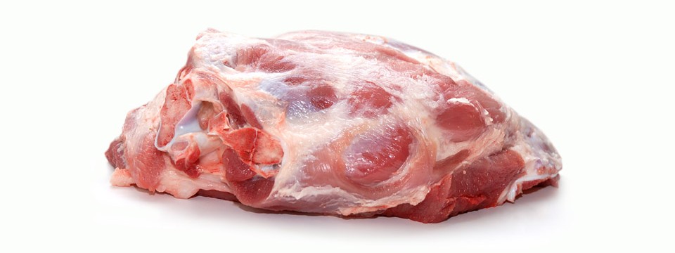 fresbeira_pa_com_osso